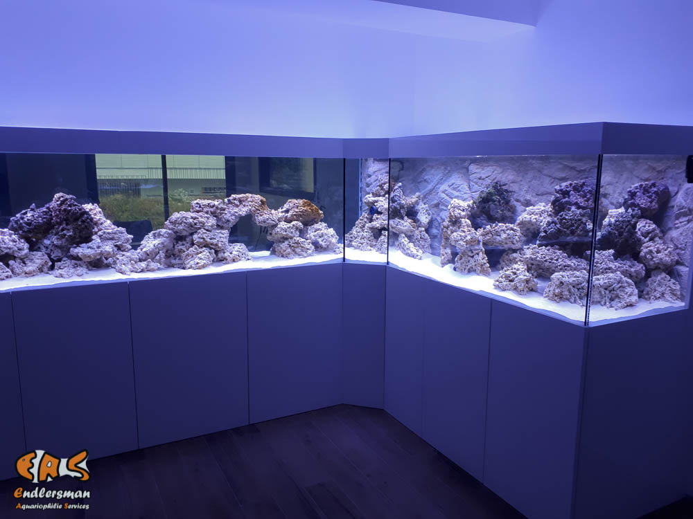 Osmoseur Débit direct 1 litre minute pour les grands aquariums, ROBIG