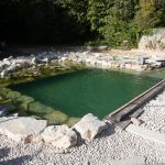 Piscine naturelle avec espace balnéo (en cours)