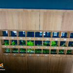 Aquarium(s) communautaire de 720 litres