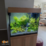 Aquarium 120 litres communautaire