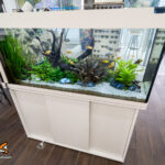 Aquarium 240 litres communautaire