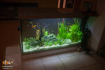 Aquarium 360 litres après réfection Aquarium 360 litres après réfection